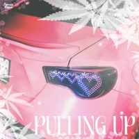 Pulling Up (feat. Vnder) - Single - Princess Ramen