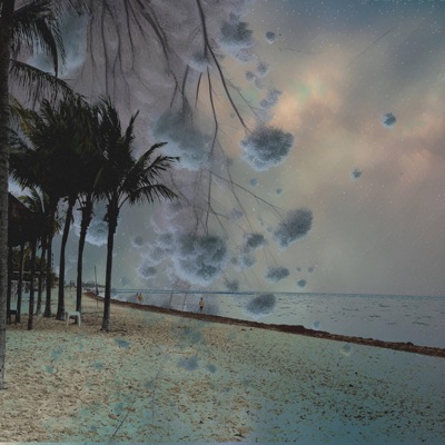 What you on? - Single