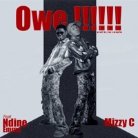 Owe!!! (feat. Ndine Emma) - Single - Mizzy C