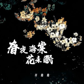 春夜海棠花未眠 祥嘞嘞