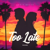 Too Late - Single - Denis Bravo