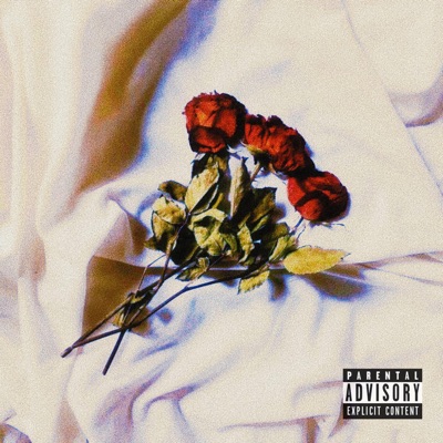 5 flores - Single