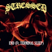 End (feat. Terminal Sleep) artwork