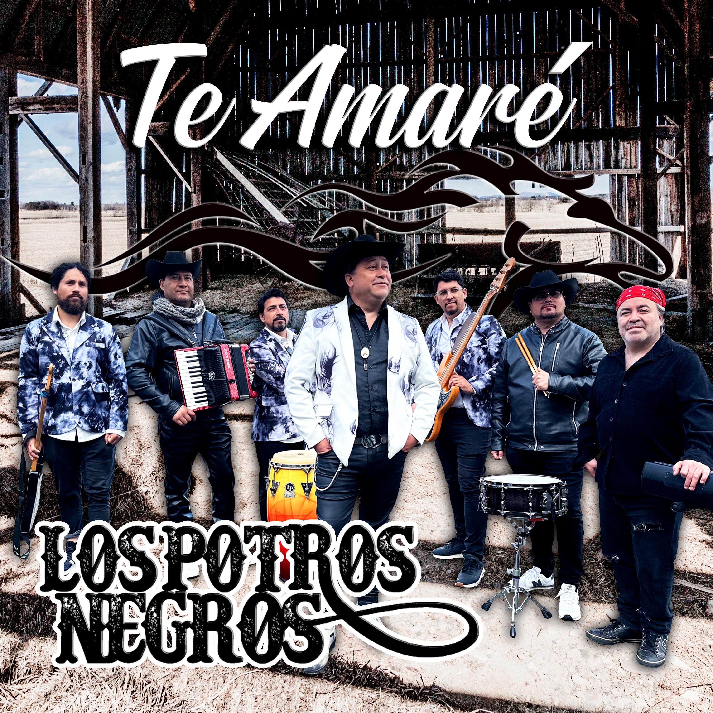 Te Amaré - Single