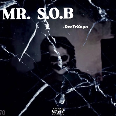 MR. S.O.B - Single