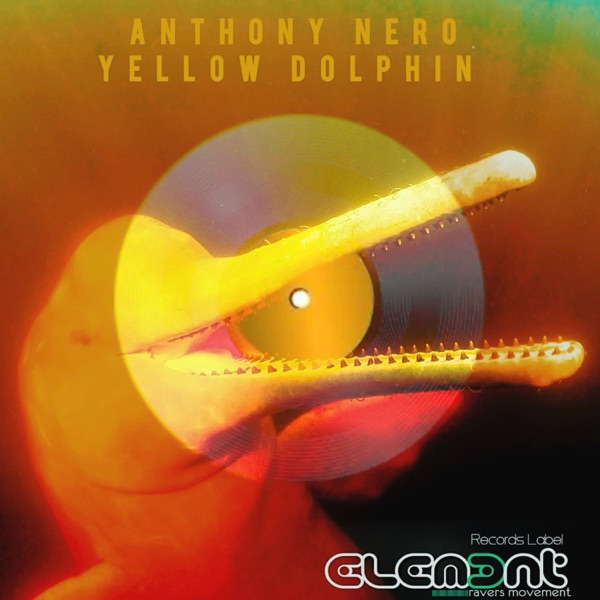 Yellow Dolphin - Single