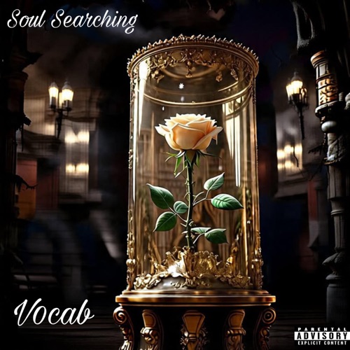Soul Searching - Single