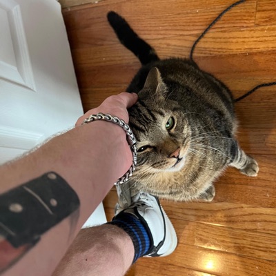 a wayward smile - Single