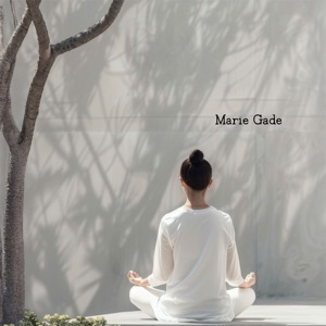 Relaxation Zen Oasis