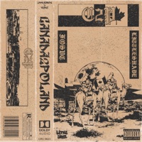 C2p - Single - FXSVC