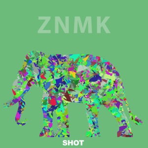 Shot