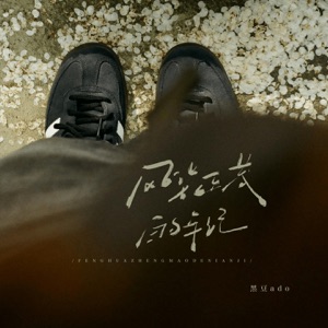 风华正茂的年纪 - Single
