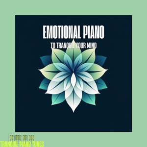 Emotional Piano to Tranquil Your Mind
