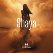 Shaya artwork