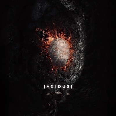 ACIDUS - Single