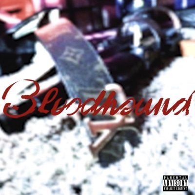 Bloodhound - Single