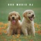 Calming Puppy Music - Dog Music DJ lyrics