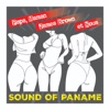 Marianne James  Sound of Panane
