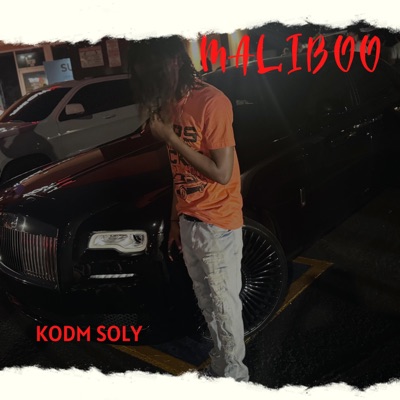 MALIBOO - Single
