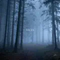 Vices