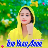 Teri Yaad Aadil - EP - Aadil Singer Mewati