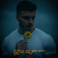 Where Are You Now (feat. Oliver) - Single - Albert Vishi