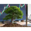 Kirill Gorbounov Linkedin - Stock market Stocks Derivatives Sensei Kirill Gorbounov LinkedIn Financial Literacy Education
