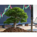  - financial literacy