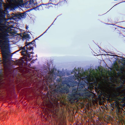 Wilderness - Single