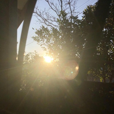 tia nắng trong anh - Single