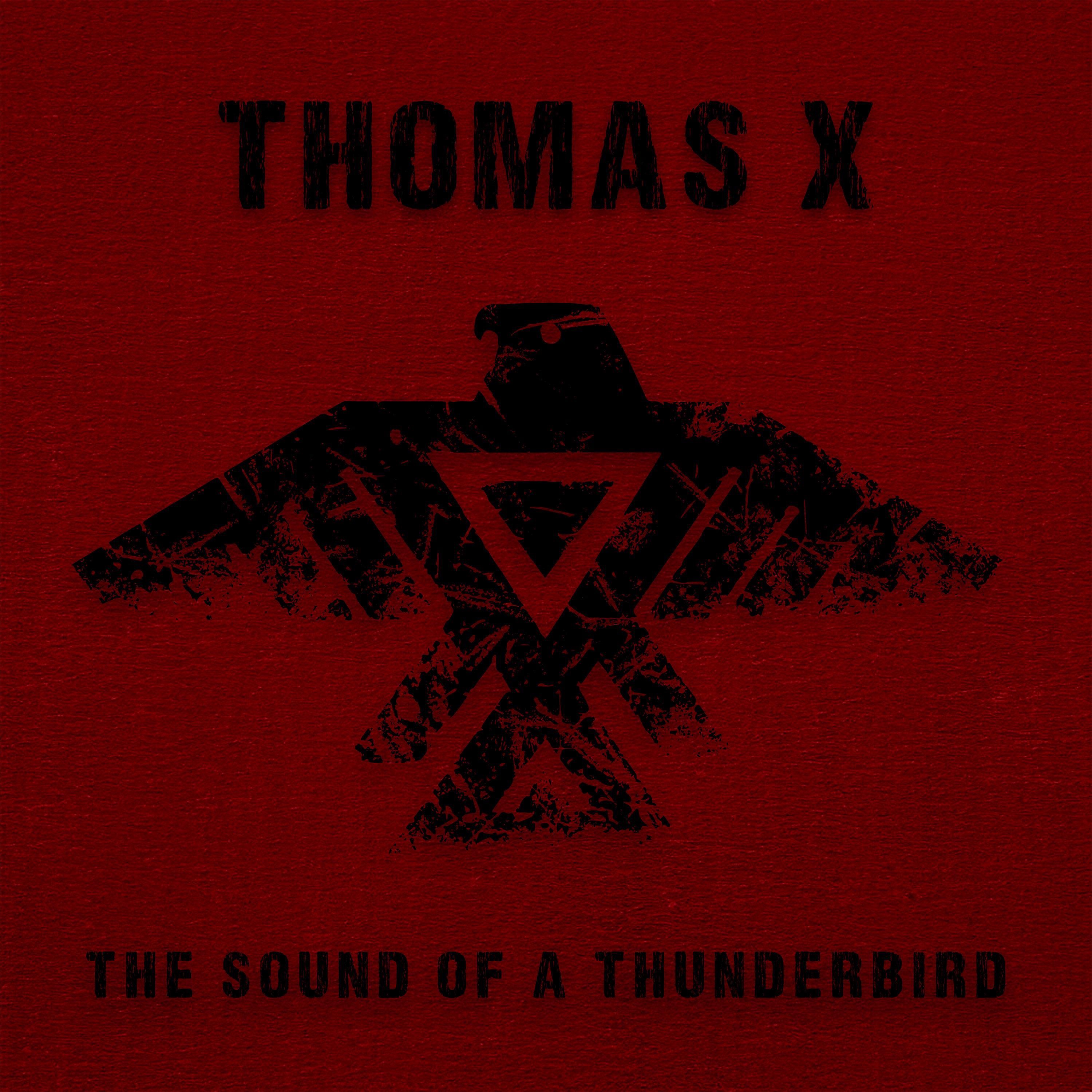 The Sound of a Thunderbird - EP