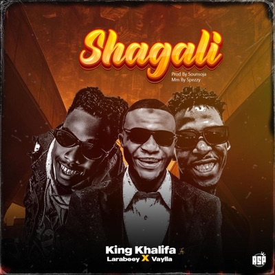 Shagali (feat. Larabeey & Vaylla) - Single