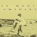 TU MANI SMĪDINI