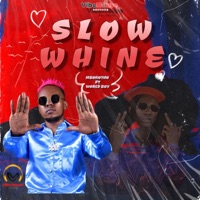 SLOW WHINE (feat. Worldboy) - Single - Mbokotho