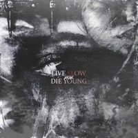Live slow die young - Single - Dr4kq & prod. Weko