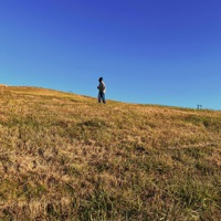 For You - Single - Delic