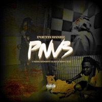 PNV3 - Poetix Bankz