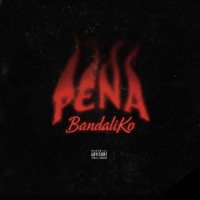 PENA - Single - itsfireringing & BandaliKoWF