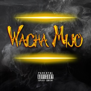 Wacha Mijo (feat. Izarre & Steve OG Music)