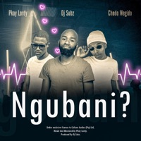 Ngubani? (feat. Dj Subz, Chedo Wegido & Pkay Lordy) - Single - Culture Audios