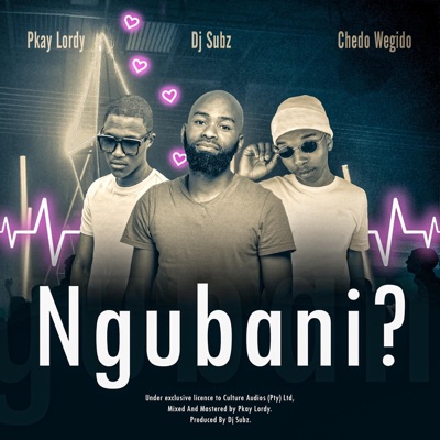 Ngubani? (feat. Dj Subz, Chedo Wegido & Pkay Lordy) - Single