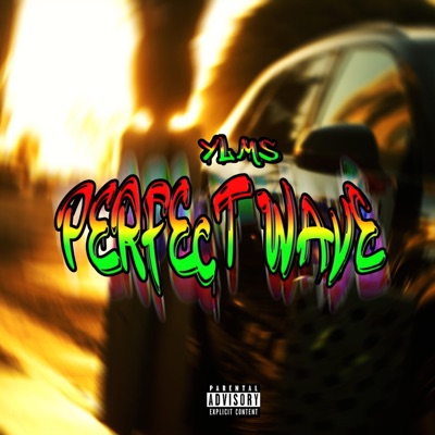 YLMs Perfect Wave - EP