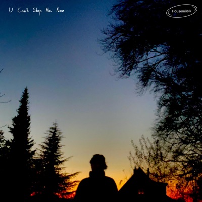 U Can't Stop Me Now - Single