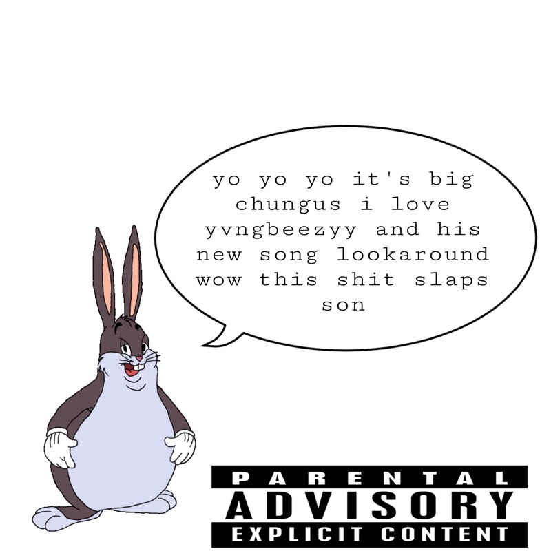 lookaround - Single
