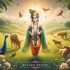 Hey Gopal Krishna - Single