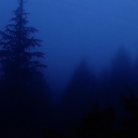 forever bound Envacity, Lupe.mp3 & ist