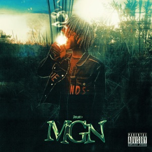 Money Gettin N***a (plaqueboymax Stream)