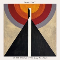 Blind Pilot Ablum Cover