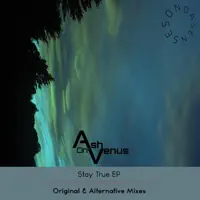 Stay True — Ash On Venus