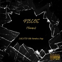 PIECES 2 (THERAPY) - Kamakazi Kenji